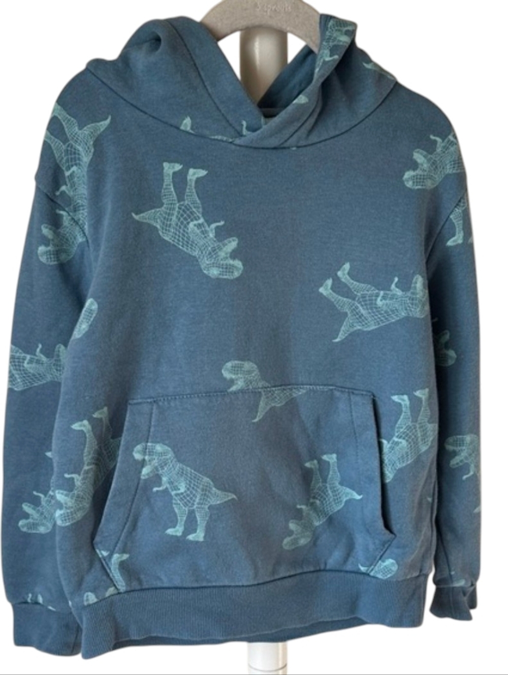 H&m Green Dinosaur Print Hoodie